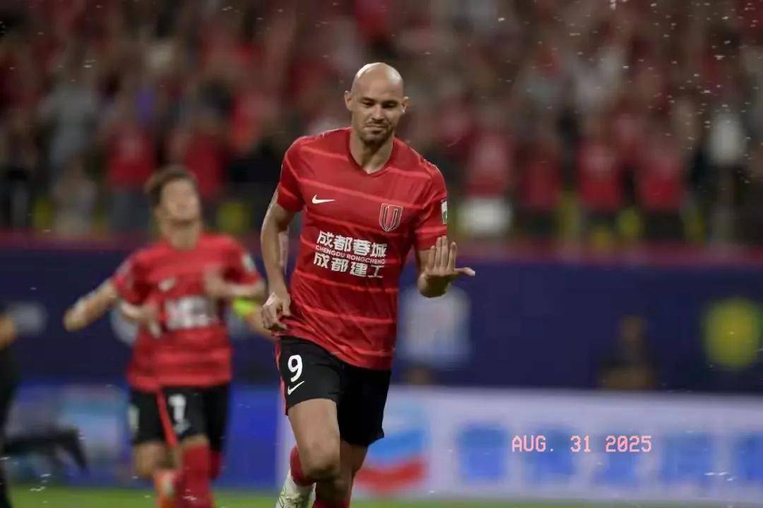 优质队友的 优质队友的